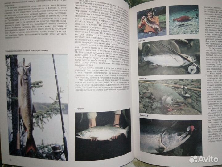 Энциклопедия рыбалки
