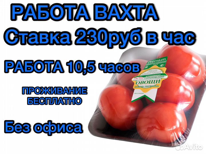 Работа вахта упаковщик томатов с проживанием