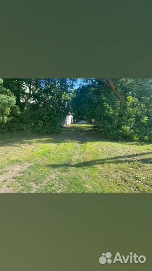 Покос травы триммером