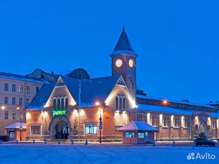 Экскурсия — Санкт-Петербург — изпетербурга вВыборг