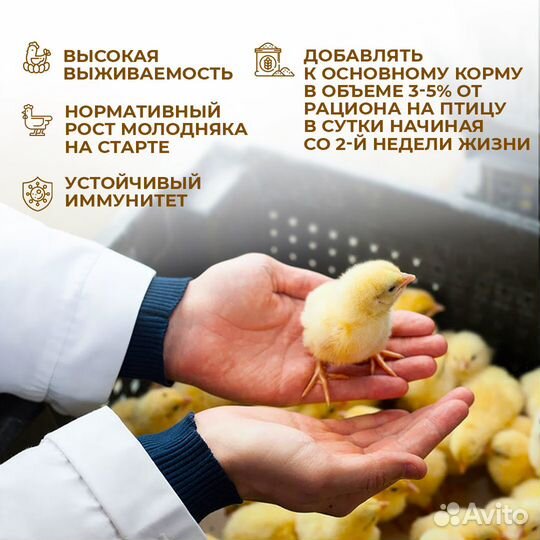 Белковая добавка для цыплят с Львинкой, 1,5 кг