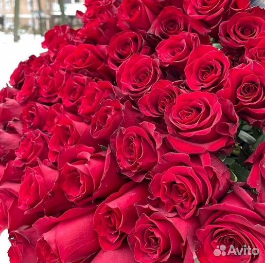 Розы высокие Доставка цветов