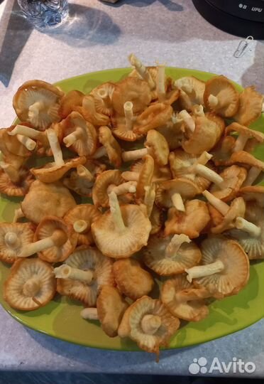 Форма хворост,грибочки