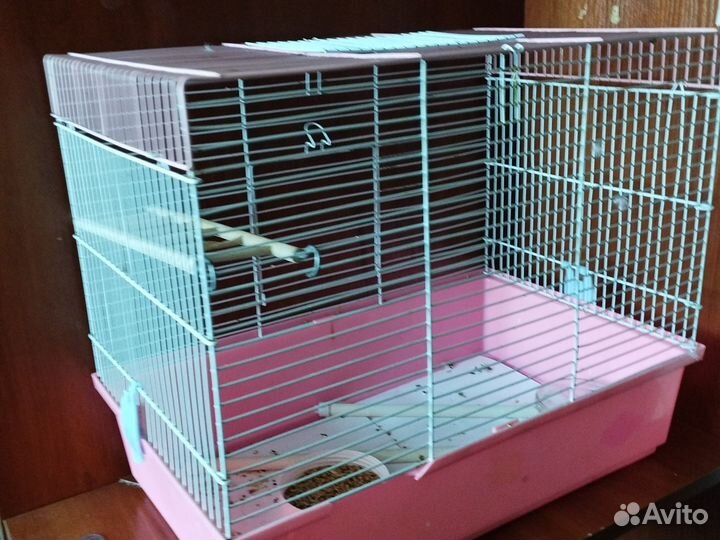 Волнистый попугай самец с клеткой ручной