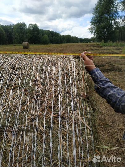 Сено в рулонах с доставкой в Томск