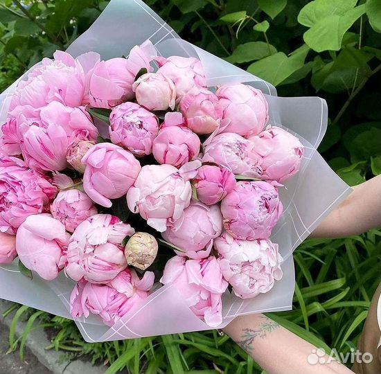 Пионы Букет пионов Доставка цветов