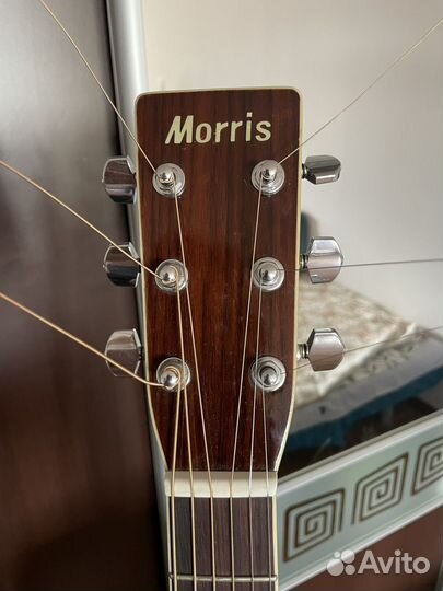 Электро-акустическая гитара Morris W30 Lr baggs