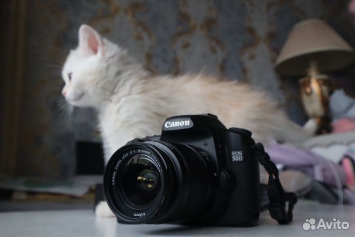 Canon 50D