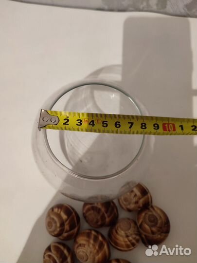 Стеклянная ваза