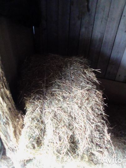 Сено разнотравье