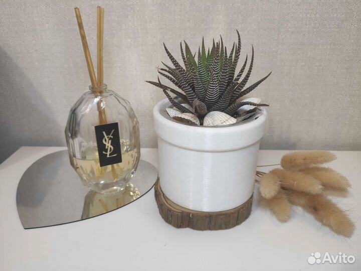 Горшочки для суккулентов