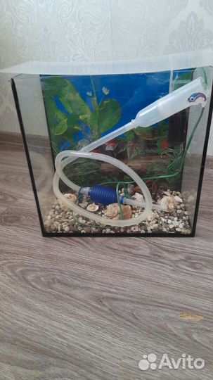 Аквариум