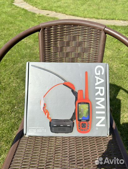 Навигатор Garmin Astro 900 с ошейником T9