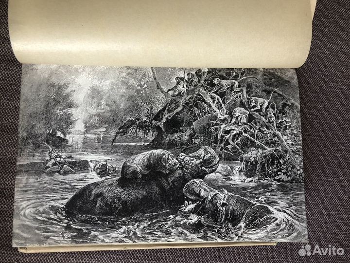 Энциклопедический словарь Бр. А. и И. Гранат 1910г