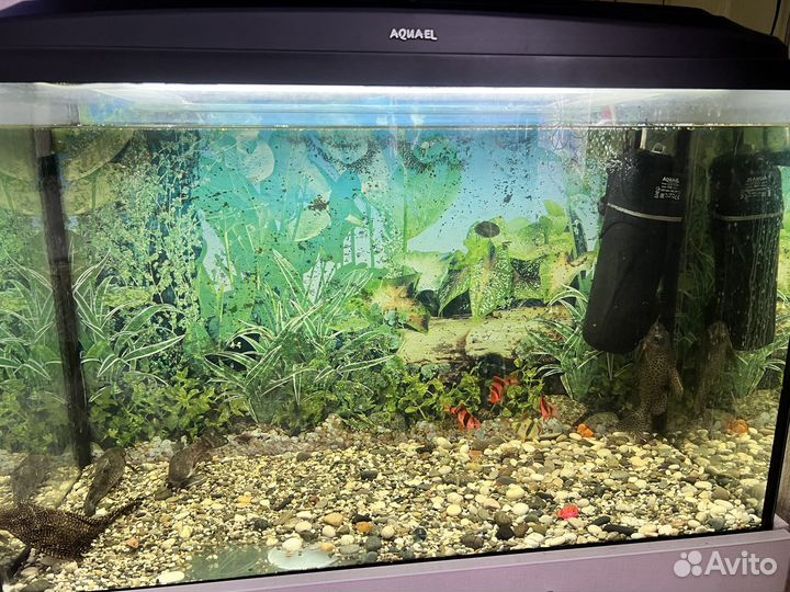 Аквариум