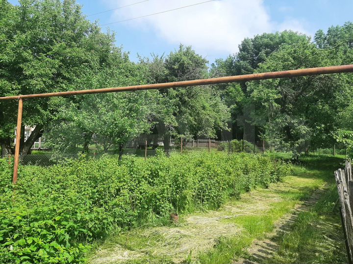 Дом 40,8 м² на участке 38 сот.