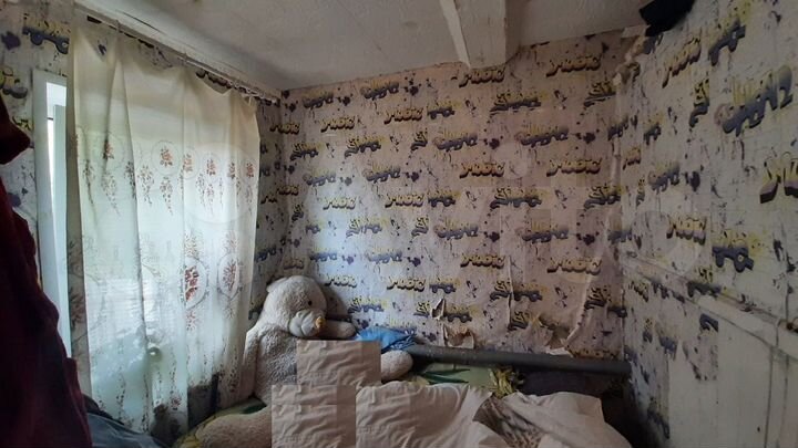 Дом 60 м² на участке 5 сот.