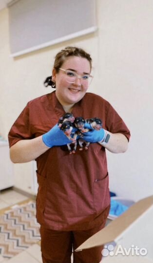 Ветеринарный врач на дом