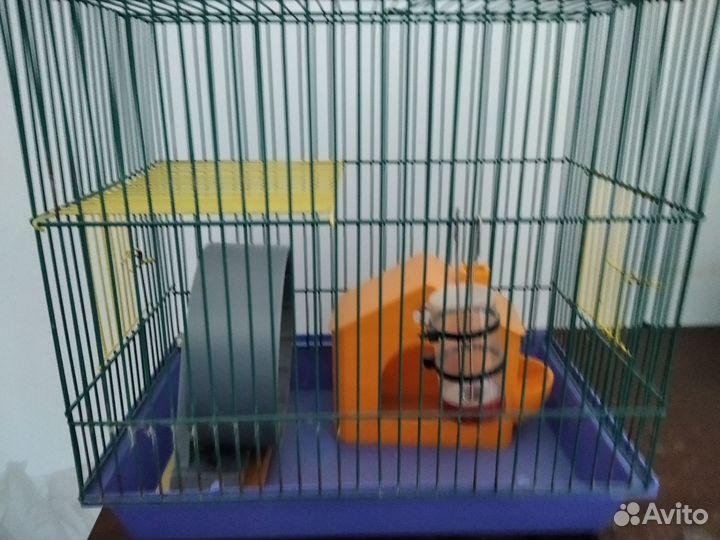 Клетки, корм, домики, прогулочный шар для хомячков