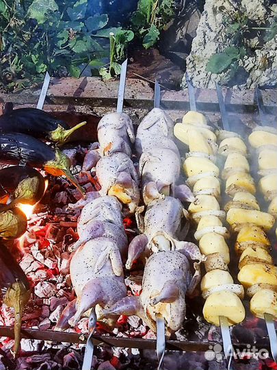 Яйца перепелиные,мясо перепелов,суточные перепелят
