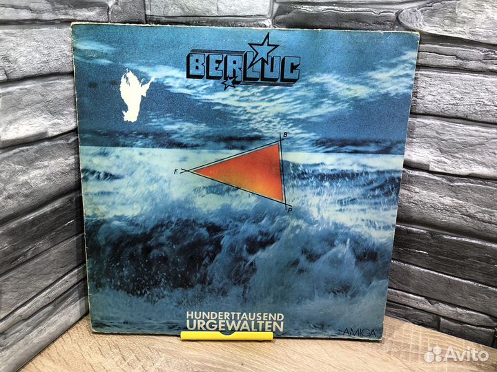 М.21310 Винил Berluc