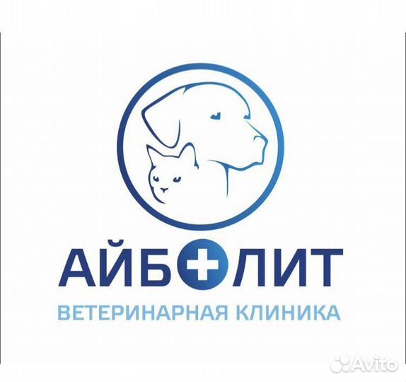 Ветеринарный врач