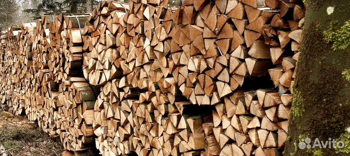 Дрова от заготовителей дров