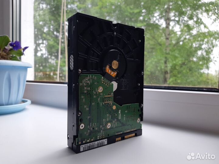 Жесткий HDD-диск WD2500JS