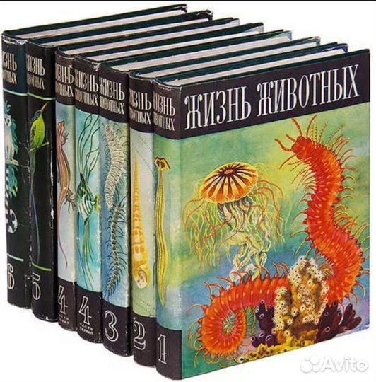 Собрания Сочинений Более 300 Авторов Подарочные и