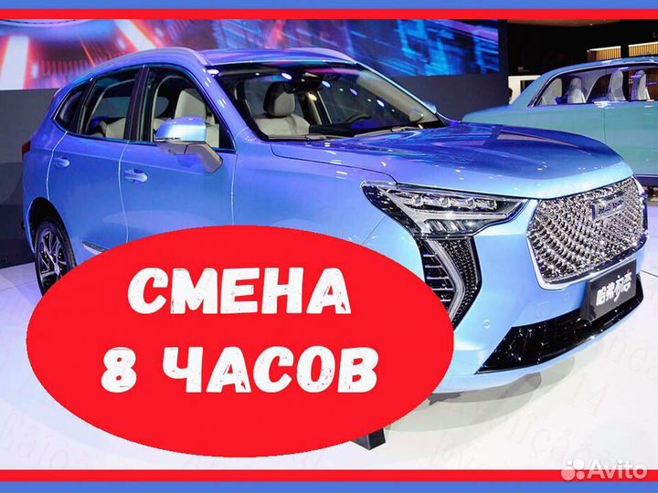 Маляр М+Ж Вахта 15.20.30.40 №982