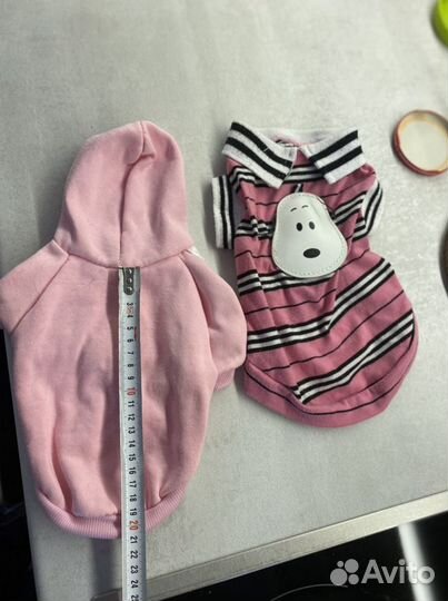 Одежда для собак