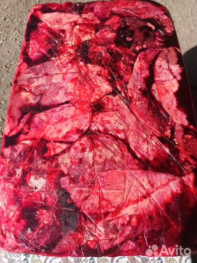 Свиное легкое почки калтык