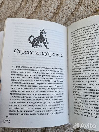 Книги о кошках, бестселлер перевод с кошачьего