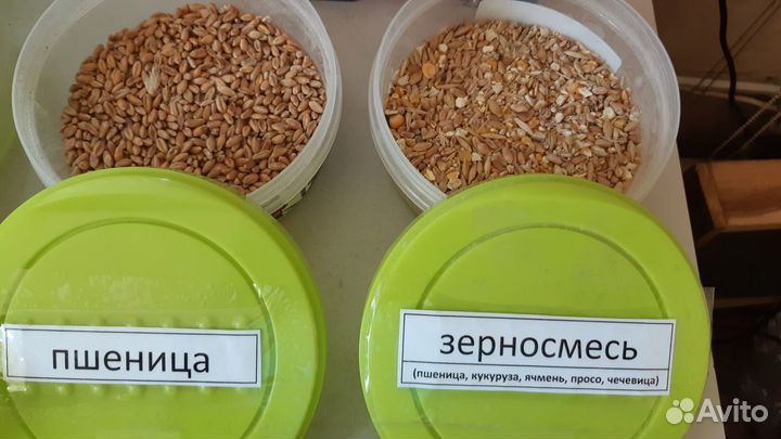 Корма для животных