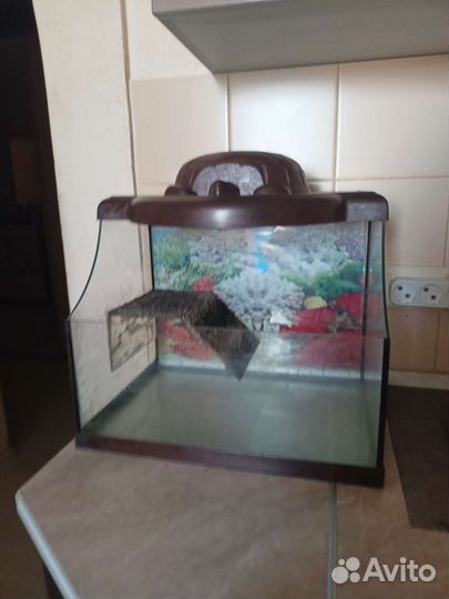 Черепаший аквариум
