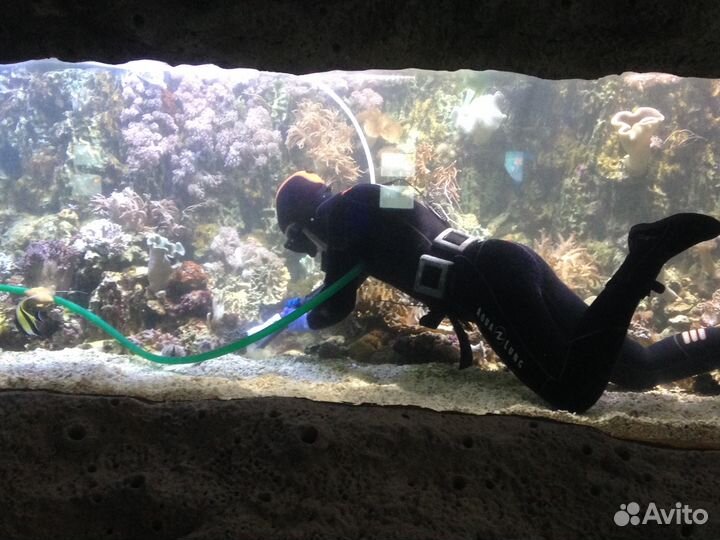 Чистка аквариума и его обслуживание