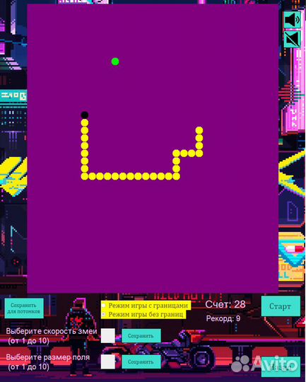 Начинающий программист (стажер)