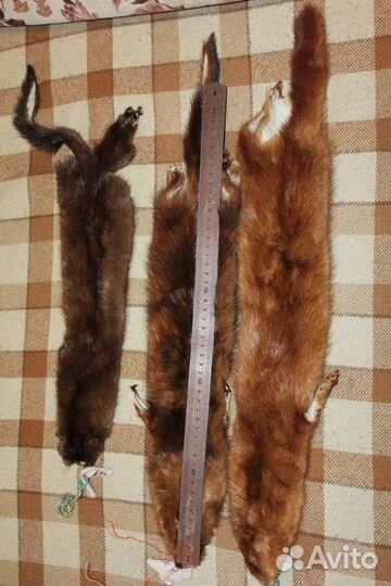 Норка шкурки выделаны