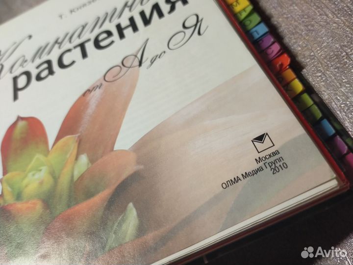 Комнатные растения / Справочное пособие