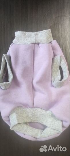 Одежда для собак и кошек