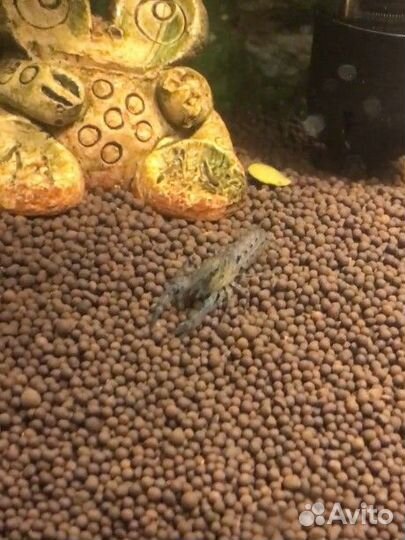 Грунт для аквариума пропант