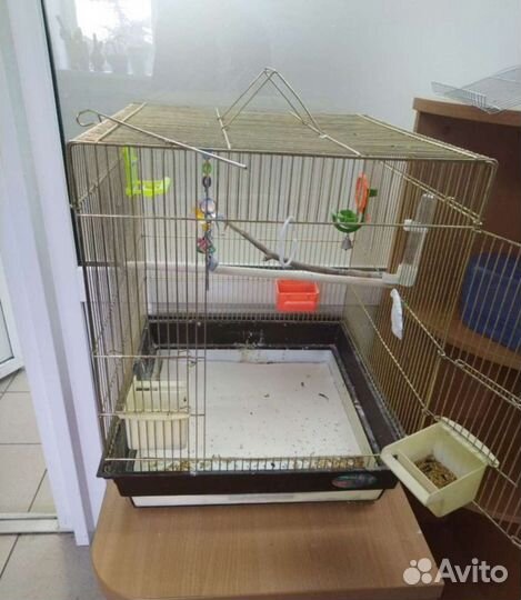 Клетка для попугая