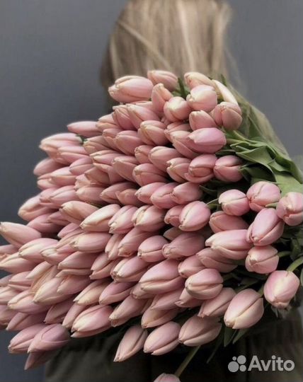 Тюльпаны к 8 марта опт и розница