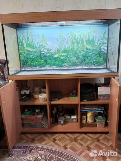 Аквариум для рыбок