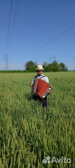 Аккордеонист Баянист Гармонист на праздники