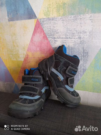 Ecco сапоги