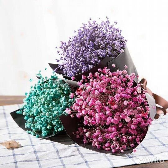 Гипсофила оптом