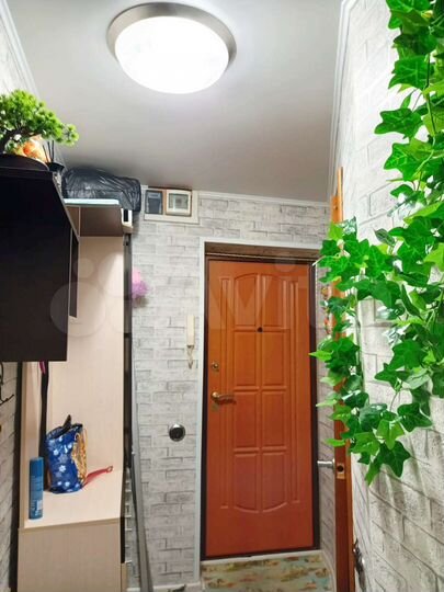 1-к. квартира, 26,5 м², 1/2 эт.