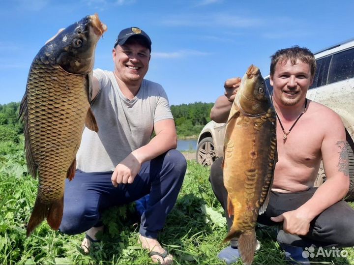 Карповая рыбалка в Нижегородской области