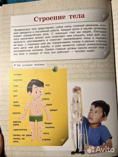 Детская энциклопедия